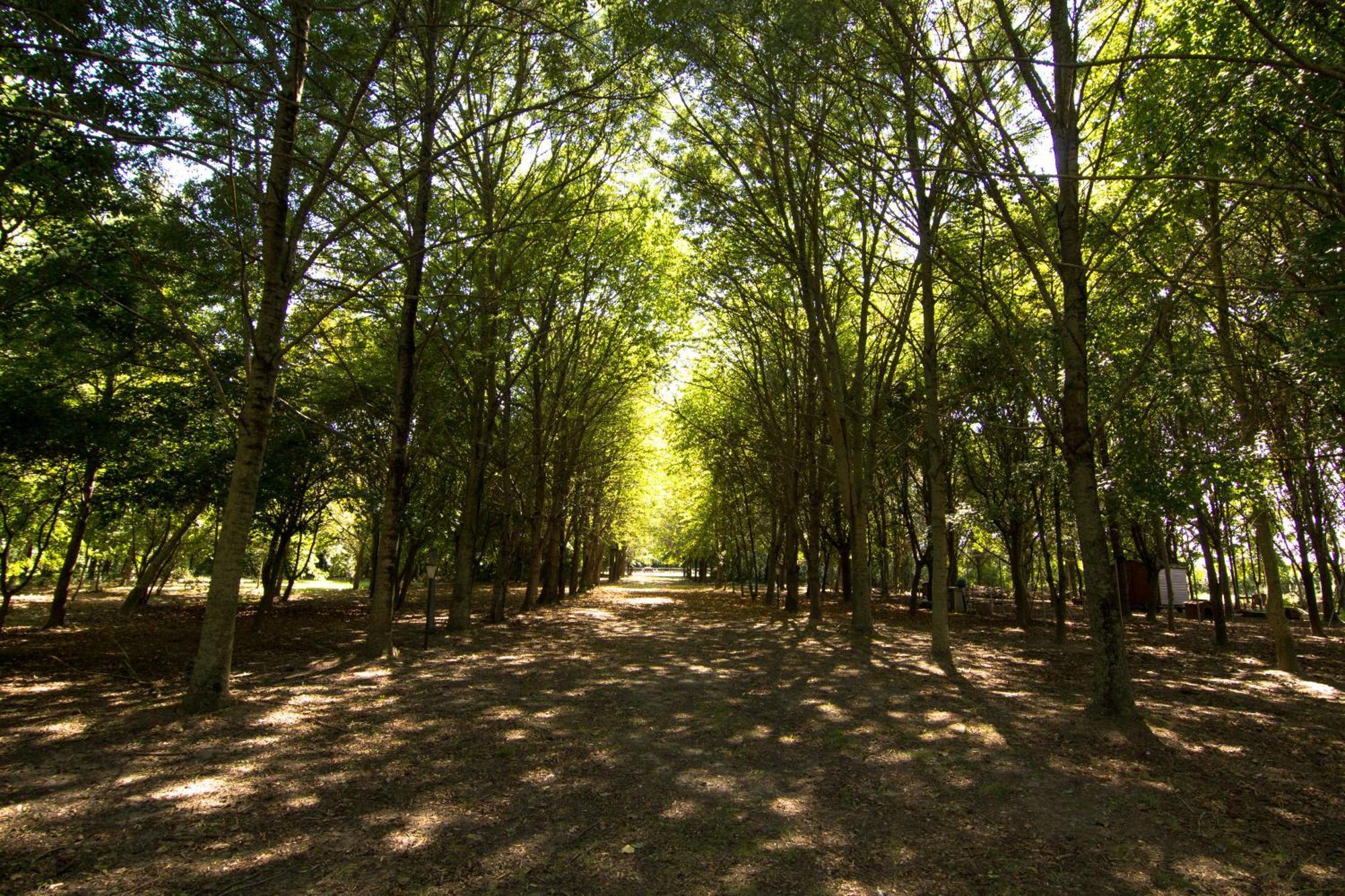 Вилла Casolare La Quercia Correzzola Экстерьер фото